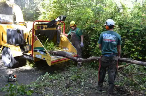 tree services Logansport